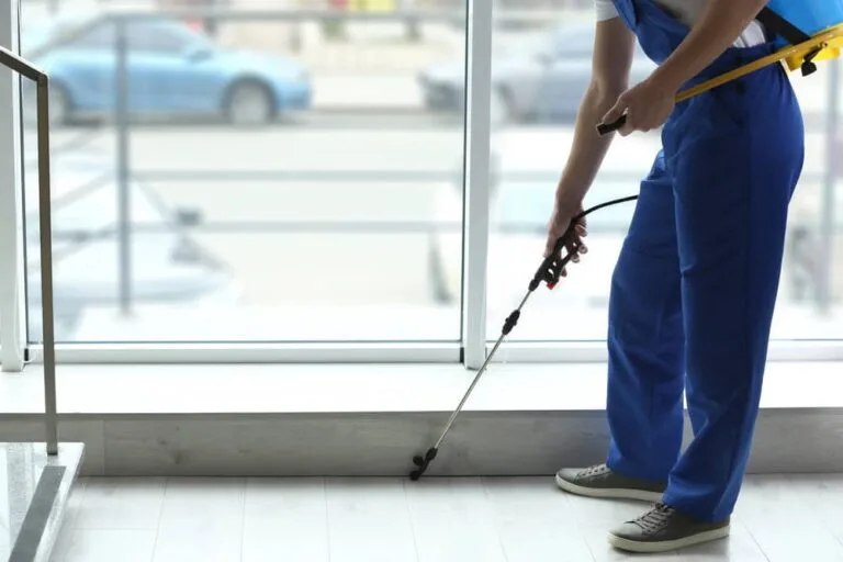 Why You Should Hire Pest Control Services in Indore